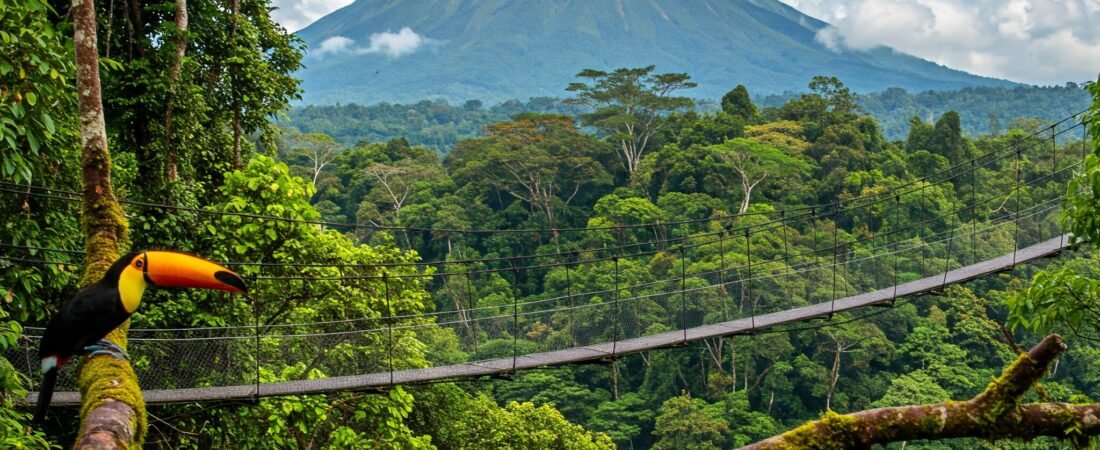Pura Vida Paradise: An 8-Day Adventure Through Costa Rica’s Highlights