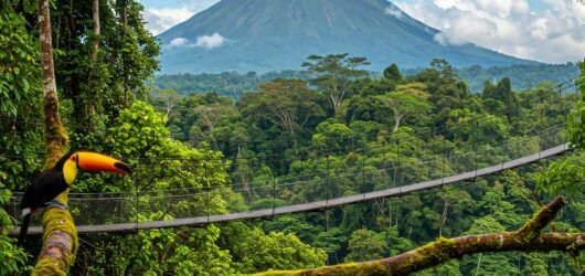 Pura Vida Paradise: An 8-Day Adventure Through Costa Rica’s Highlights